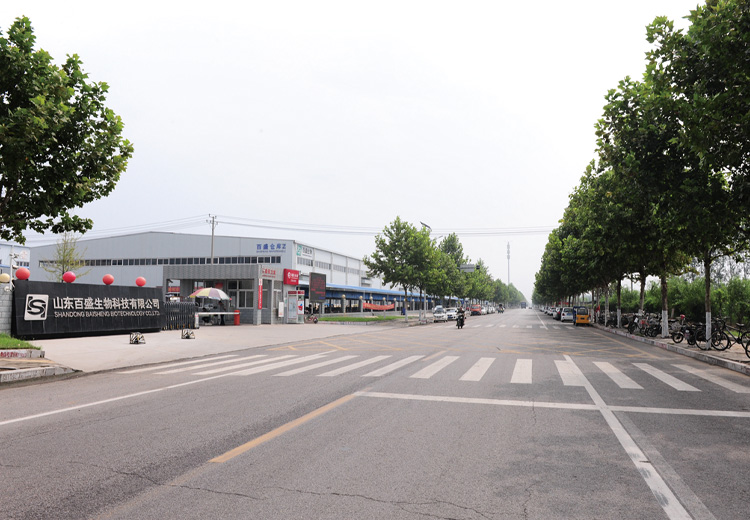 山東百盛生物科技廠區(qū)道路